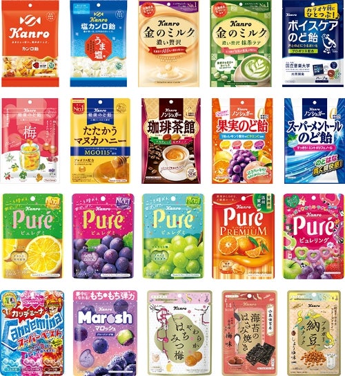 国内コア事業