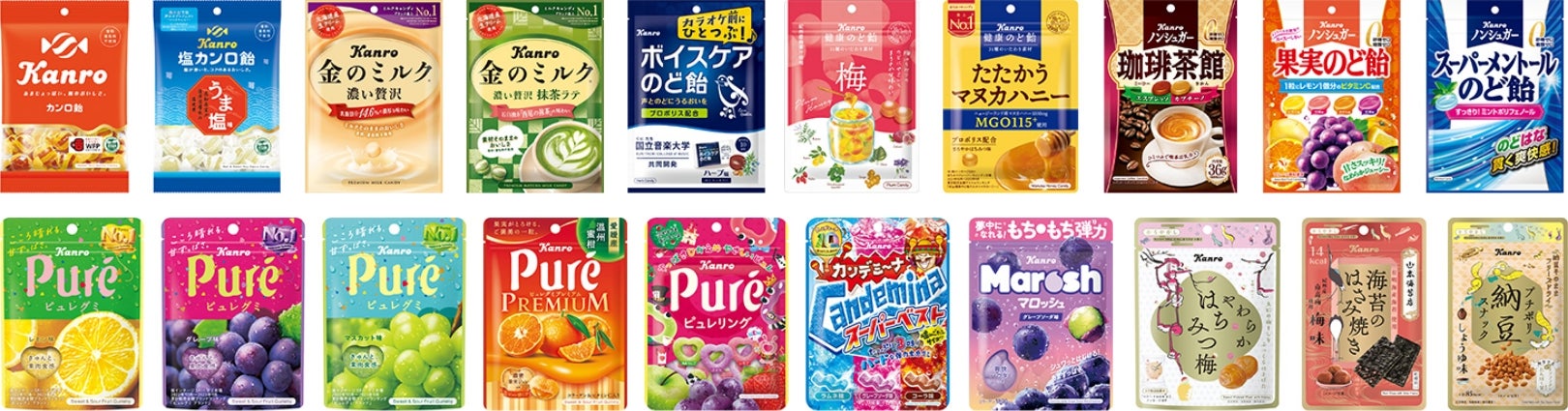 国内コア事業